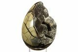 Septarian Dragon Egg Geode - Sparkly Black Crystals #344445-1